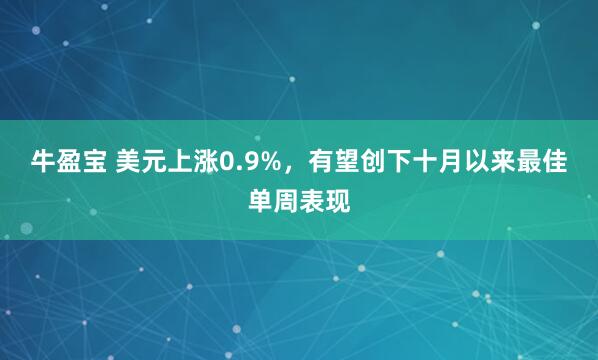 牛盈宝 美元上涨0.9%，有望创下十月以来最佳单周表现