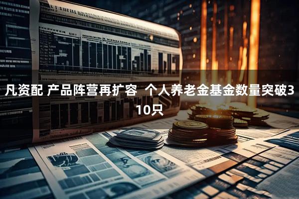 凡资配 产品阵营再扩容  个人养老金基金数量突破310只