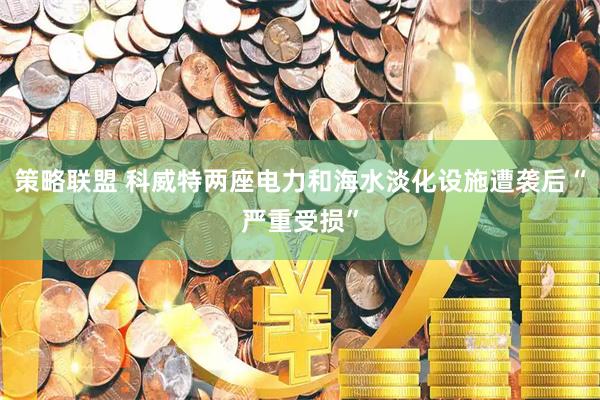 策略联盟 科威特两座电力和海水淡化设施遭袭后“严重受损”