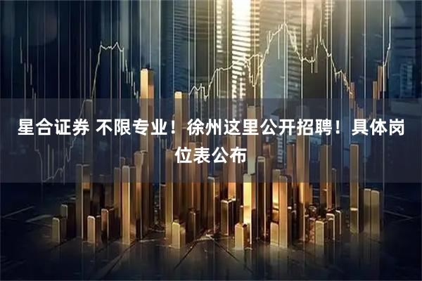 星合证券 不限专业！徐州这里公开招聘！具体岗位表公布
