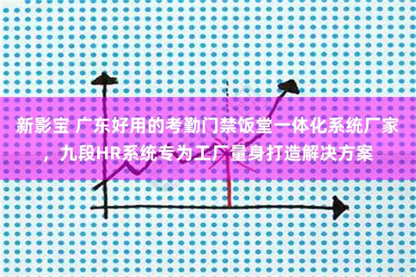 新影宝 广东好用的考勤门禁饭堂一体化系统厂家，九段HR系统专为工厂量身打造解决方案