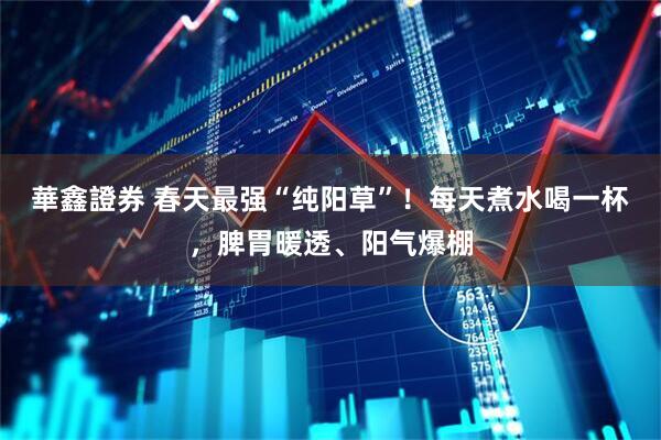 華鑫證券 春天最强“纯阳草”！每天煮水喝一杯，脾胃暖透、阳气爆棚