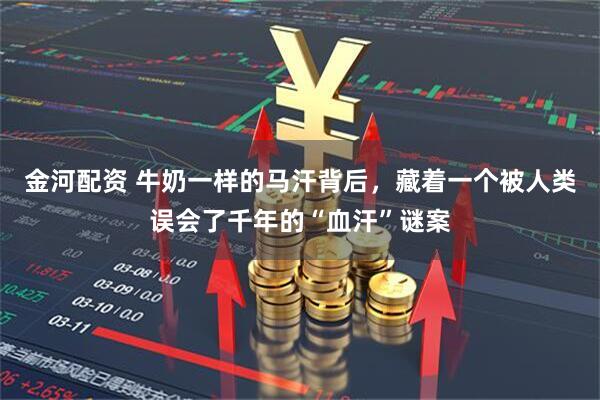 金河配资 牛奶一样的马汗背后，藏着一个被人类误会了千年的“血汗”谜案