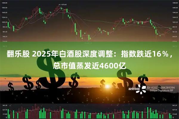 翻乐股 2025年白酒股深度调整：指数跌近16％，总市值蒸发近4600亿