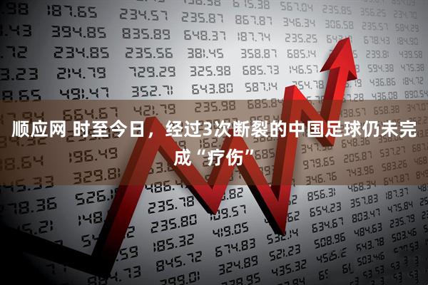 顺应网 时至今日，经过3次断裂的中国足球仍未完成“疗伤”
