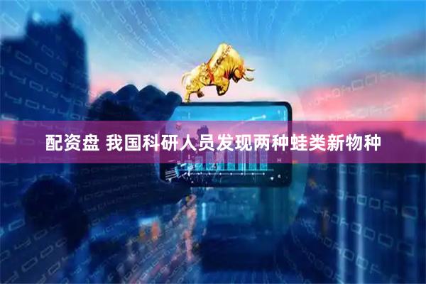 配资盘 我国科研人员发现两种蛙类新物种