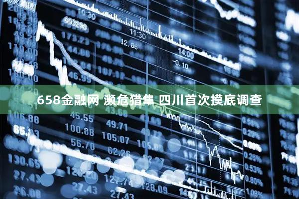 658金融网 濒危猎隼 四川首次摸底调查