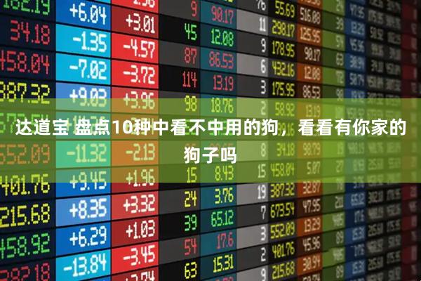 达道宝 盘点10种中看不中用的狗,看看有你家的狗子吗